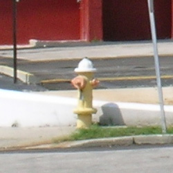 Nikon 5400