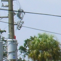 Nikon 5400