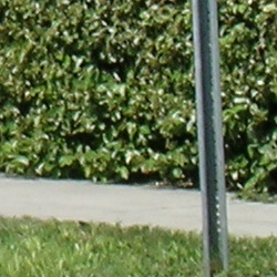 Nikon 5400