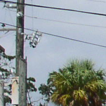 Olympus C 4000