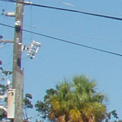 Olympus C 50