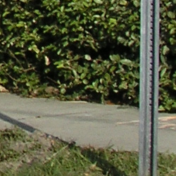 Olympus C 5060