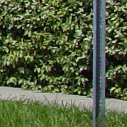 Dony DSC V1
