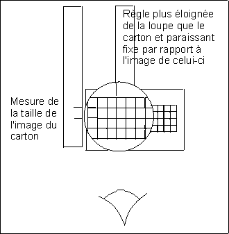 loupe